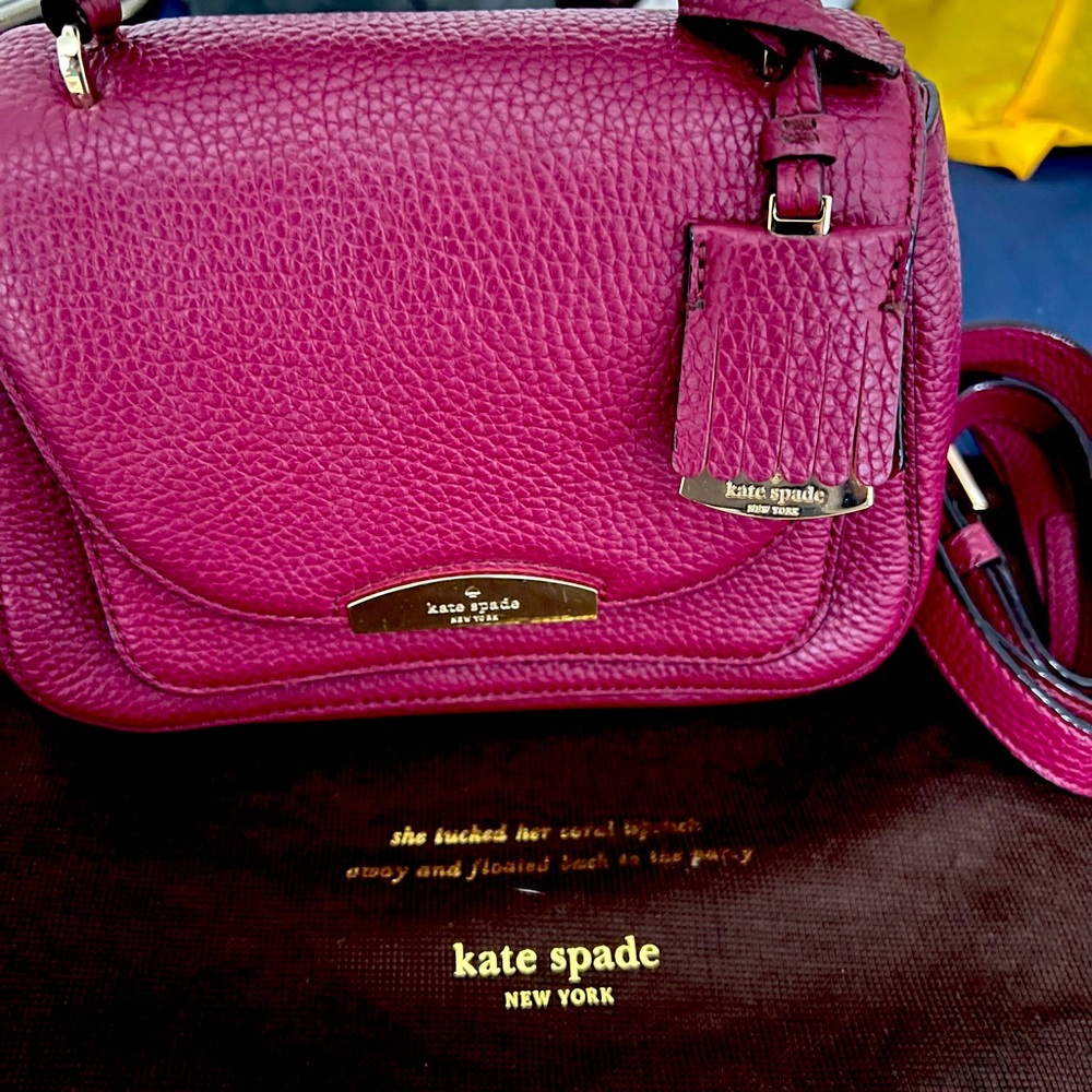 Kate Spade mini hand bag